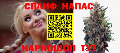 ГАЛЛЮЦИНОГЕННЫЕ ГРИБЫ Нальчик