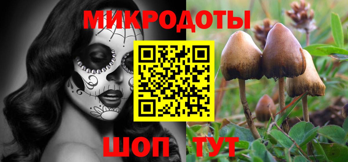 Шебекино  Псилоцибиновые грибы прущие грибы  Вход с VPN  Псилоцибиновые грибы мухоморы 